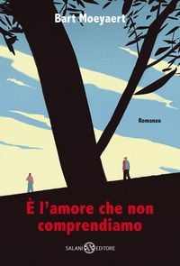 Produktbild: &Egrave; l'amore che non comprendiamo