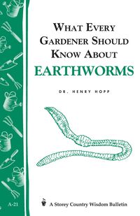 Bild vom Artikel What Every Gardener Should Know About Earthworms vom Autor Henry Hopp