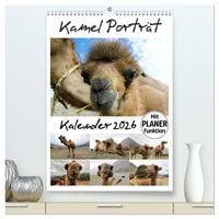Produktbild: Kamel Portr&auml;t (hochwertiger Premium Wandkalender 2026 DIN A2 hoch), Kunstdruck in Hochglanz
