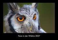 Produktbild: Tiere in der Wildnis 2027 Fotokalender DIN A3