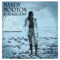 Produktbild: After the Storm - Complete Recordings