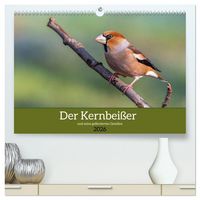 Produktbild: Der Kernbei&szlig;er und seine gefiederten Gesellen (hochwertiger Premium Wandkalender 2026 DIN A2 quer), Kunstdruck in Hochglanz