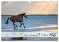 Produktbild: Pferde 2027 Kraft und Anmut (Wandkalender 2027 DIN A3 quer), CALVENDO Monatskalender
