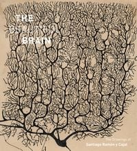 Produktbild: Beautiful Brain