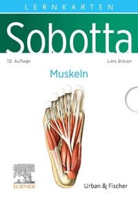 Produktbild: Sobotta Lernkarten Anatomie: Muskeln