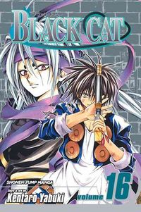 Produktbild: Black Cat V16