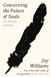 Produktbild: Concerning the Future of Souls
