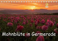 Produktbild: Mohnbl&uuml;te in Germerode (Tischkalender 2022 DIN A5 quer)