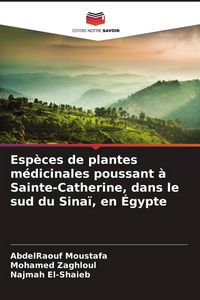 Produktbild: Esp&egrave;ces de plantes m&eacute;dicinales poussant &agrave; Sainte-Catherine, dans le sud du Sina&iuml;, en &Eacute;gypte