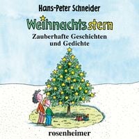 Produktbild: Weihnachtsstern