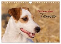 Produktbild: Faszination Terrier (Wandkalender 2027 DIN A4 quer), CALVENDO Monatskalender