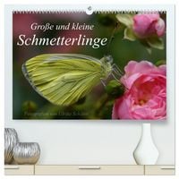 Produktbild: Gro&szlig;e und kleine Schmetterlinge (hochwertiger Premium Wandkalender 2026 DIN A2 quer), Kunstdruck in Hochglanz