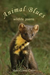 Produktbild: Animal Blues - Wildlife Poems
