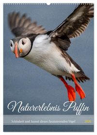 Produktbild: Naturerlebnis Puffin (Wandkalender 2026 DIN A2 hoch), CALVENDO Monatskalender