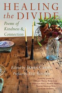 Produktbild: Healing the Divide