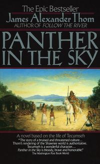 Produktbild: Panther in the Sky