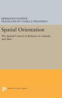 Produktbild: Spatial Orientation
