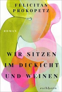 Produktbild: Wir sitzen im Dickicht und weinen
