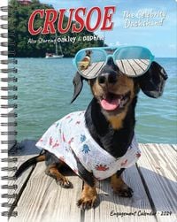 'Crusoe the Celebrity Dachshund 2024 6.5 X 8.5 Engagement Calendar