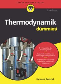 Bild vom Artikel Thermodynamik für Dummies vom Autor Raimund Ruderich