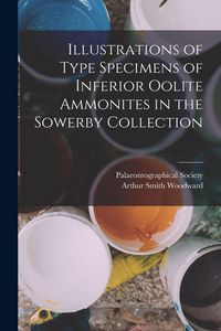 Produktbild: Illustrations of Type Specimens of Inferior Oolite Ammonites in the Sowerby Collection