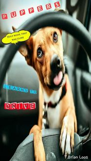 Produktbild: Puppers Learns to Drive