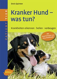 Bild vom Artikel Kranker Hund - was tun? vom Autor Doris Quinten