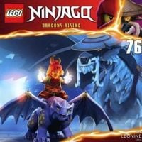 Produktbild: LEGO Ninjago (CD 76)