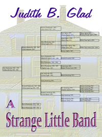 Produktbild: Strange Little Band
