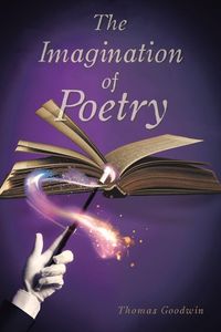 Produktbild: The Imagination of Poetry