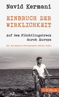 Produktbild: Einbruch der Wirklichkeit