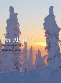 Produktbild: Der Absturz
