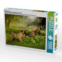 Produktbild: Hundekinder entdecken die Welt..., 1000 Teile