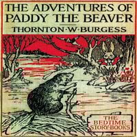 Produktbild: The Adventures of Paddy the Beaver