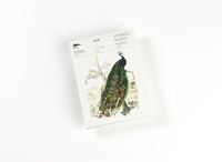 Produktbild: Birds