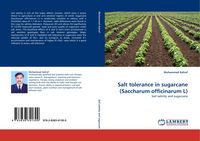 Produktbild: Salt tolerance in sugarcane (Saccharum officinarum L)