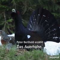Produktbild: Das Auerhuhn