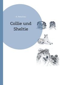 Produktbild: Collie und Sheltie