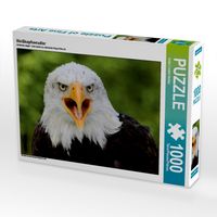 Produktbild: CALVENDO Puzzle Wei&szlig;kopfseeadler | 1000 Teile Lege-Gr&ouml;&szlig;e 64x48cm Foto-Puzzle f&uuml;r gl&uuml;ckliche Stunden