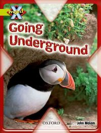 Produktbild: Project X: Underground: Going Underground