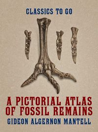 Produktbild: A Pictorial Atlas of Fossil Remains