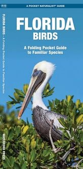 Produktbild: Florida Birds