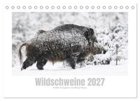 Produktbild: Wildschweine &ndash; Wildlife Fotografien (Tischkalender 2027 DIN A5 quer), CALVENDO Monatskalender