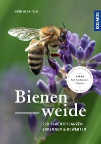 Produktbild: Bienenweide