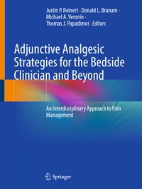 Produktbild: Adjunctive Analgesic Strategies for the Bedside Clinician and Beyond