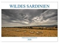 Produktbild: Wildes Sardinien 2026 (Wandkalender 2026 DIN A3 quer), CALVENDO Monatskalender
