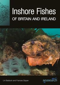 Produktbild: Inshore Fishes of Britain and Ireland