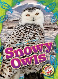 Produktbild: Snowy Owls