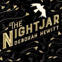 Produktbild: The Nightjar