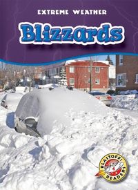 Produktbild: Blizzards